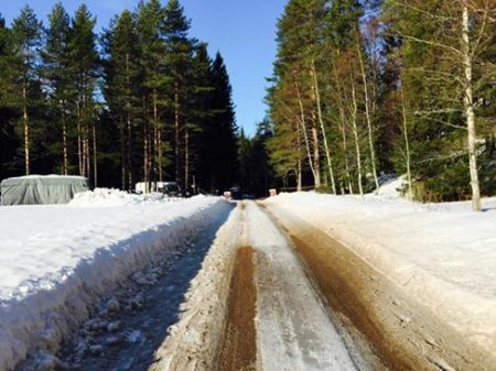 Ралли Швеции 2015: Обзор СУ15 - Ожье теряет темп