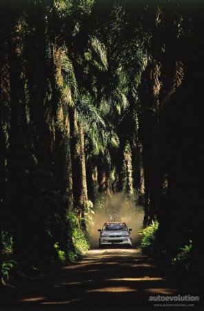 WRC ралли Индонезии 1990 года