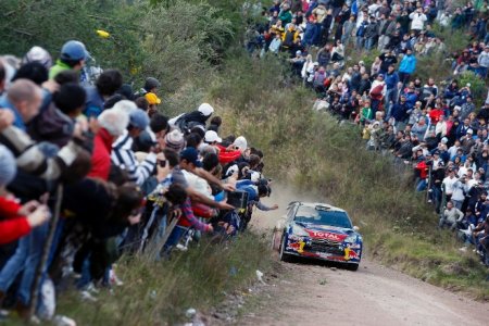 Маттон: разнообразие полезно для WRC
